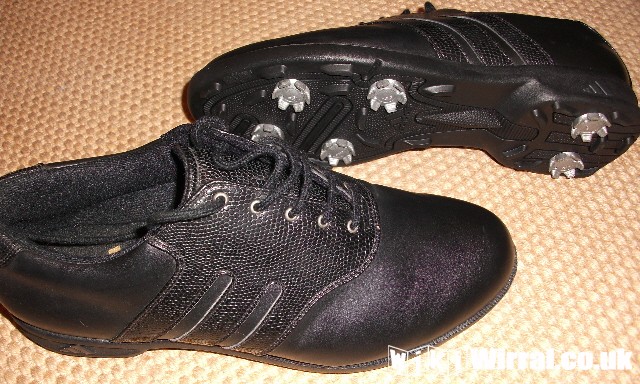 Attached picture golf shoes.JPG